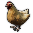 phikill/re_lpc_launcher